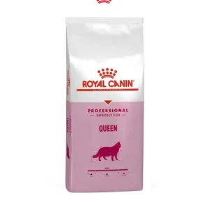 غذای گربه باردار یا Queen Pro کویین پرو رویال کنین محصولی از سری حرفه ای این برند است که برای تقویت مادر ، شیردهی بهتر و بهبود رشد جنین و نوزاد مفید است. در دوران بارداری و شیردهی گربه مادر به مواد مغذی ویژه ای نیاز دارد. در صورتی که این مواد مغذی به درستی تامین شوند، جنین می تواند به خوبی رشد کند و شیر کافی و با کیفیت برای نوزادها تولید می شود. در عین حال، قوای بدنی گربه مادر به خوبی حفظ خواهد شد. کمپانی رویال کنین برای تامین صحیح این مواد مغذی مورد نیاز گربه ها محصولی از سری پروفشنال ریپروداکشن خود با نام کویین عرضه کرده است. این محصول بسیار خوش طعم بوده و دارای کالری مناسب برای گذراندن این دوران است. استفاده از آن از اولین روز بارداری تا آخرین روز شیردهی توصیه می شود. غذای گربه باردار و شیرده از سری حرفه ای رویال کنین غنی از فولیک اسید است. وجود این ماده برای سلامتی جنین بسیار ضروری می باشد. این خوراک برای تقویت سیستم ایمنی، بهبود سلامت جنین، افزایش تولید شیر و بهبود کیفیت آن مفید است. نوزادها با مصرف شیر بهتر، رشد و نمو بهتری را تجربه می کنند. بتاکاروتن که پیش ماده ویتامین آ است در این خوراک وجود دارد. ویتامین آ به شکل گیری بهتر ریه ها در دوران جنینی و بهبود سلامت دستگاه تنفسی کمک می کند.