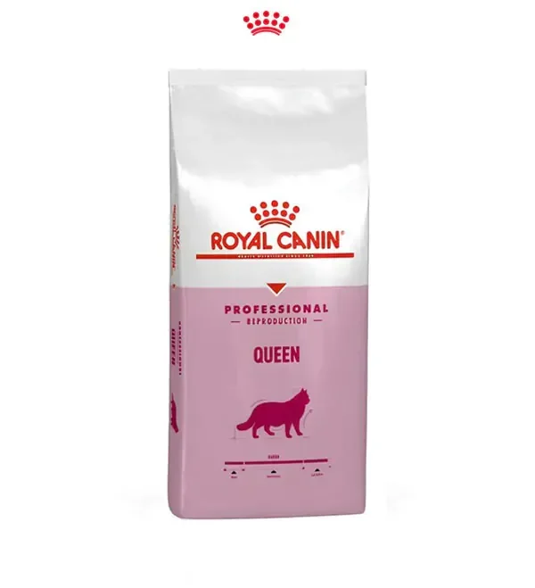 غذای گربه باردار یا Queen Pro کویین پرو رویال کنین محصولی از سری حرفه ای این برند است که برای تقویت مادر ، شیردهی بهتر و بهبود رشد جنین و نوزاد مفید است. در دوران بارداری و شیردهی گربه مادر به مواد مغذی ویژه ای نیاز دارد. در صورتی که این مواد مغذی به درستی تامین شوند، جنین می تواند به خوبی رشد کند و شیر کافی و با کیفیت برای نوزادها تولید می شود. در عین حال، قوای بدنی گربه مادر به خوبی حفظ خواهد شد. کمپانی رویال کنین برای تامین صحیح این مواد مغذی مورد نیاز گربه ها محصولی از سری پروفشنال ریپروداکشن خود با نام کویین عرضه کرده است. این محصول بسیار خوش طعم بوده و دارای کالری مناسب برای گذراندن این دوران است. استفاده از آن از اولین روز بارداری تا آخرین روز شیردهی توصیه می شود. غذای گربه باردار و شیرده از سری حرفه ای رویال کنین غنی از فولیک اسید است. وجود این ماده برای سلامتی جنین بسیار ضروری می باشد. این خوراک برای تقویت سیستم ایمنی، بهبود سلامت جنین، افزایش تولید شیر و بهبود کیفیت آن مفید است. نوزادها با مصرف شیر بهتر، رشد و نمو بهتری را تجربه می کنند. بتاکاروتن که پیش ماده ویتامین آ است در این خوراک وجود دارد. ویتامین آ به شکل گیری بهتر ریه ها در دوران جنینی و بهبود سلامت دستگاه تنفسی کمک می کند.